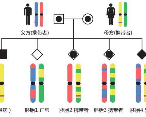 北京代孕咨询电话，北京助孕代妈介绍所