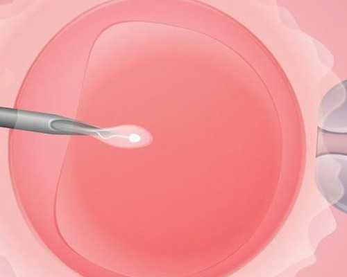 代孕公司官网网站,2026年怀孕清宫表准确率100，看到就是赚到
						