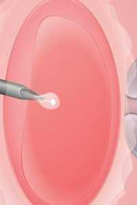 代孕公司官网网站,