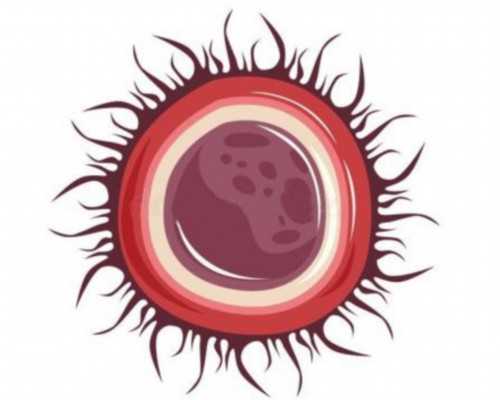 试管移植五次失败怎么办?绝经供卵试管移植多次失败的解决方法有哪些?