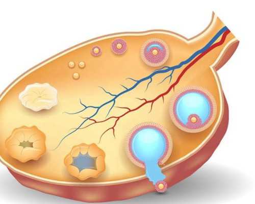 有靠谱的代孕机构吗,做试管前要筛查宫颈癌吗