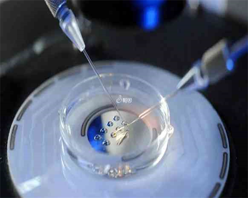 试管婴儿几天着床症状,试管婴儿移植后几天着床症状是什么