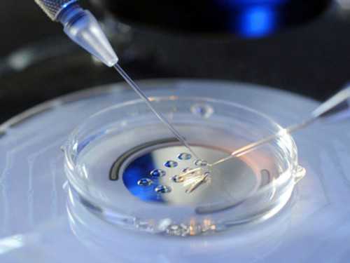 北京助孕公司更新金摇篮生子,北京做试管婴儿需多少钱啊试管婴儿具体流程有