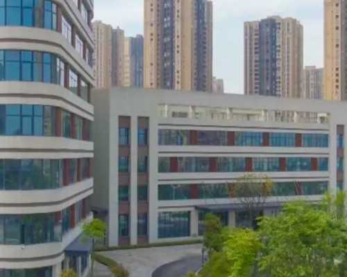 北京代妈个人，55万包男孩，北京代妈最高报酬多少