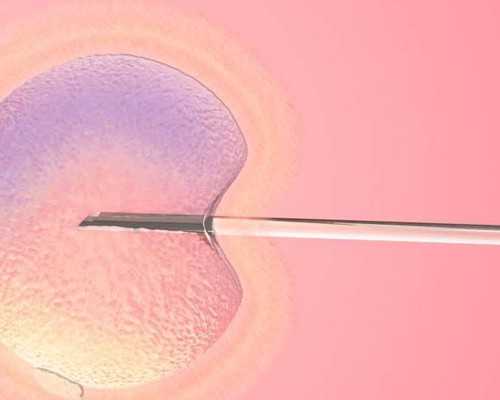 北京有人做供卵试管吗,北京三甲医院试管婴儿排行榜前十名_北京试管婴儿公立