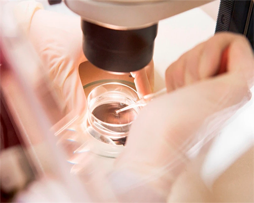 北京求代生女，5A认证供卵公司