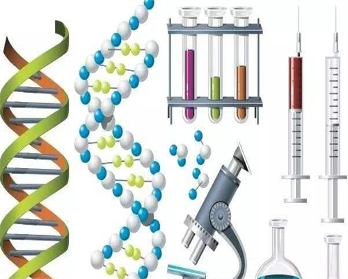 北京供卵试管价目表,北京供卵试管医院成功率排名
						