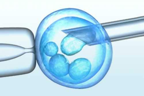 北京公立做供卵试管的医院排名第一的是哪家