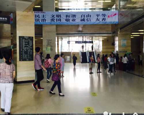 去试管代孕机构_去做代孕费用明细,辅助胚胎孵化能否高三代试管婴儿冷冻胚胎