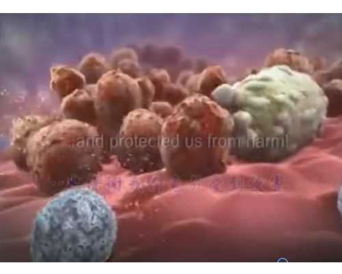 囊胚移植后出现宫角妊娠怎么办(囊胚移植会宫角妊娠吗)