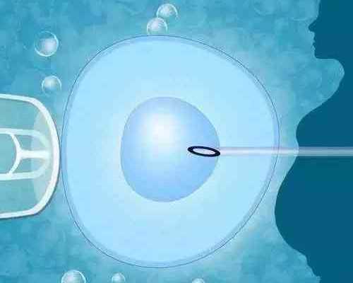 北京代怀生子网,在北京医院做三代试管婴儿的最佳季节是哪个呢，价格概览！