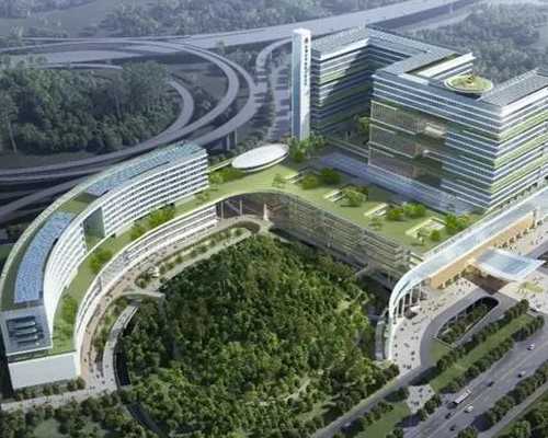 国内包生男孩费用低_国内供卵的机构,踢足球会变成罗圈腿?这些足球明星的腿型