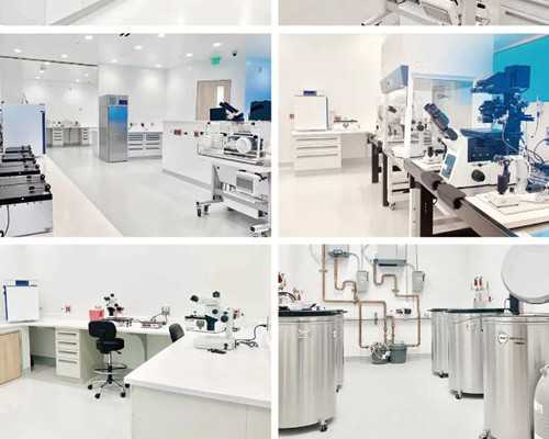 精子和卵子结合几天后着床