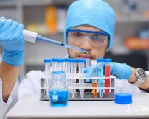 北京试管婴儿哪家医院可以供卵_2026北京最新8家试管婴儿医院排名，哪家成功率