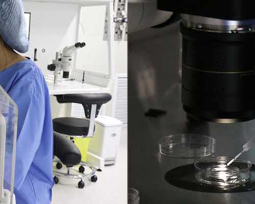 北京有偿捐卵,不排队,北京 捐卵