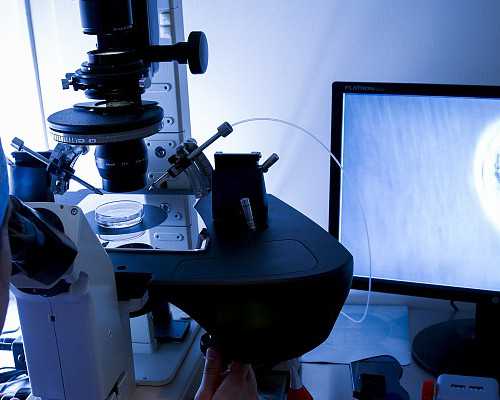 北京供卵试管靠谱吗,北京做三代试管婴儿需要哪些条件！能保证成功吗？