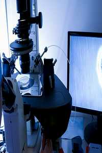 北京供卵试管靠谱吗