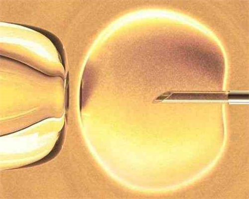 代孕费用多少合适,过来人分享子宫内膜6mm试管案例，移植成功率真不低！