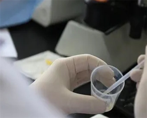 国内有供卵机构嘛,有哪些代孕机构比较可靠,
              胚胎移植后每天喝豆浆