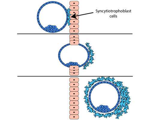 天津做供，借卵试管婴儿私立医院排名更新，附2026天津供卵生男孩医院名单