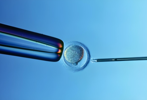 长春供卵试管生一对龙凤胎价格明细?全程花多少钱心里有数