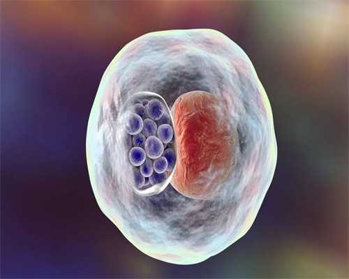 做代孕哪家专业_试管代孕医生排名,试管婴儿移植能避免输卵管妊娠这类宫外孕