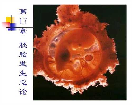 北京助孕网-北京代怀孕是否违法-北京代怀小孩哪